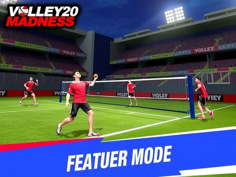 Volley T20 Madness Career Mode